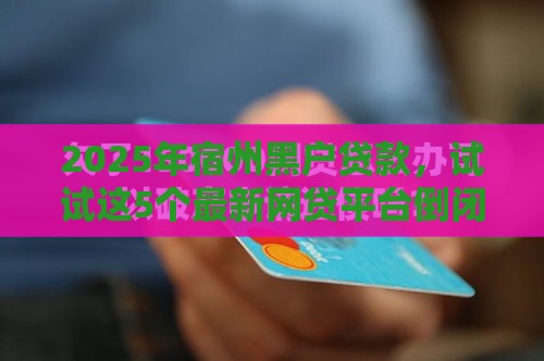 2025年宿州黑户贷款,试试这5个最新网贷平台倒闭名单 2025年宿州黑户贷款,试试这5个最新网贷平台倒闭名单