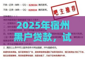 2025年宿州黑户贷款,试试这5个最新网贷平台倒闭名单 2025年宿州黑户贷款,试试这5个最新网贷平台倒闭名单