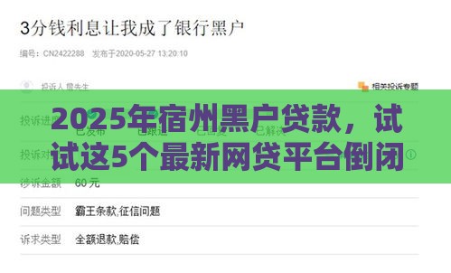 2025年宿州黑户贷款,试试这5个最新网贷平台倒闭名单 2025年宿州黑户贷款,试试这5个最新网贷平台倒闭名单