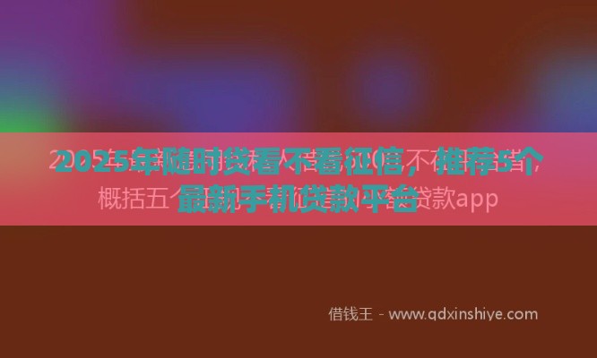 2025年随时贷看不看征信，推荐5个最新手机贷款平台