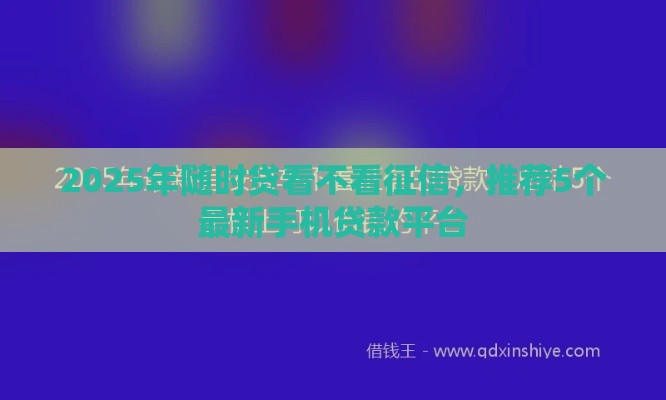 2025年随时贷看不看征信，推荐5个最新手机贷款平台