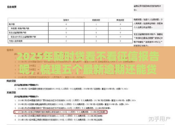 2025年随时贷看不看征信报告呢，梳理五个最新逾期还能贷款的平台