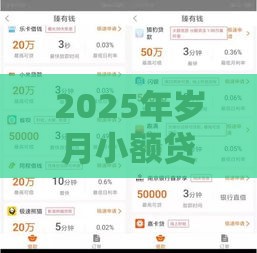 2025年岁月小额贷怎么下载，整合5个最新杭银消金是贷款平台