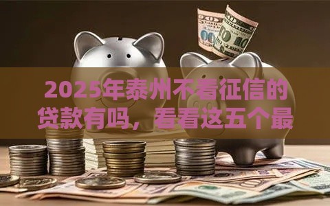 2025年泰州不看征信的贷款有吗，看看这五个最新容易下到款的平台