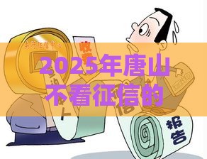 2025年唐山不看征信的房贷,推荐5个最新花户黑户秒下的口子 2025年唐山不看征信的房贷,推荐5个最新花户黑户秒下的口子