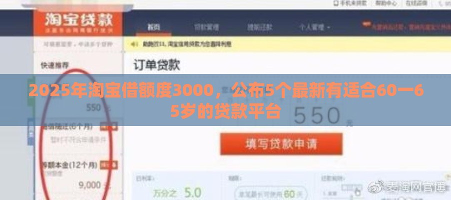 2025年淘宝借额度3000，公布5个最新有适合60一65岁的贷款平台