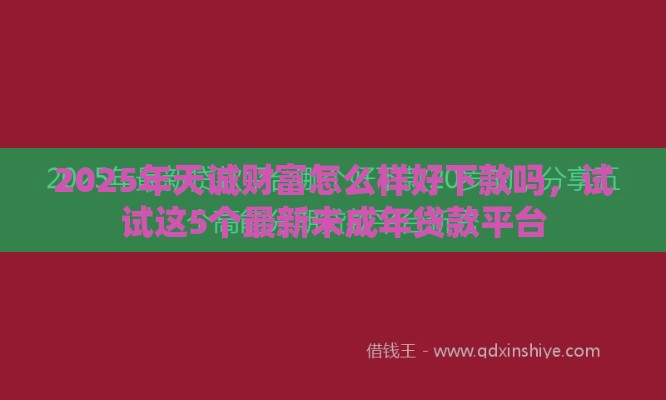 2025年天诚财富怎么样好下款吗，试试这5个最新未成年贷款平台