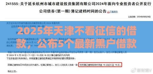 2025年天津不看征信的借款，公布5个最新黑户借款必下口子2025