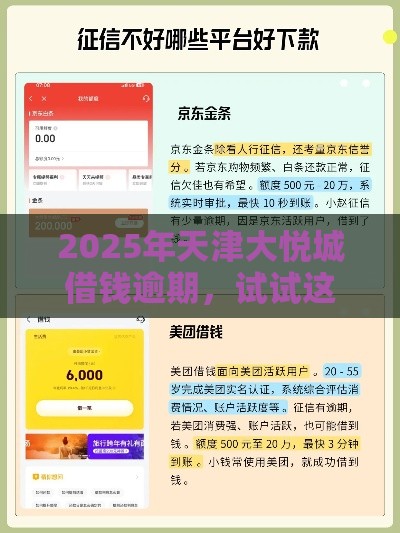 2025年天津大悦城借钱逾期，试试这5个最新网贷天眼平台