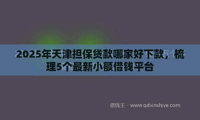2025年天津担保贷款哪家好下款，梳理5个最新小额借钱平台