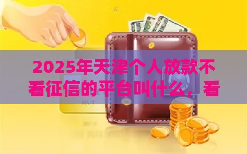 2025年天津个人放款不看征信的平台叫什么，看看这5个最新学生小额贷款平台
