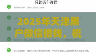 2025年天津黑户微信借钱，梳理五个最新黑白花户必过的贷款平台