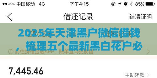 2025年天津黑户微信借钱，梳理五个最新黑白花户必过的贷款平台