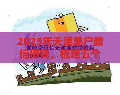 2025年天津黑户微信借钱，梳理五个最新黑白花户必过的贷款平台