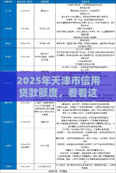 2025年天津市信用贷款额度，看看这五个最新贷款平台推荐