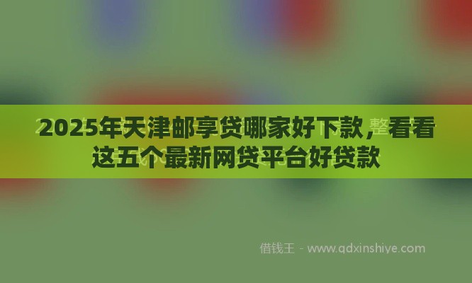 2025年天津邮享贷哪家好下款，看看这五个最新网贷平台好贷款
