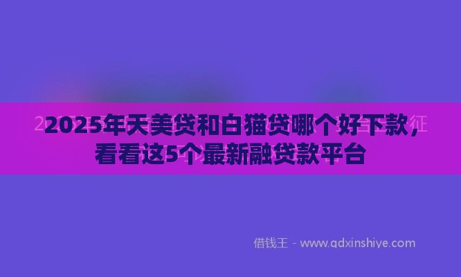 2025年天美贷和白猫贷哪个好下款，看看这5个最新融贷款平台