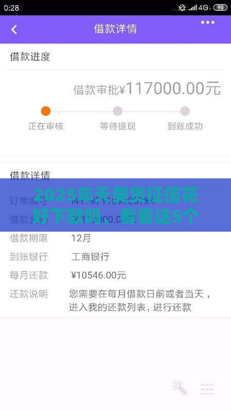 2025年天美贷征信花好下款吗，看看这5个最新平台借钱最靠谱