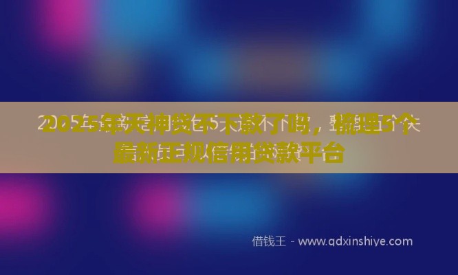 2025年天神贷不下款了吗，梳理5个最新正规信用贷款平台