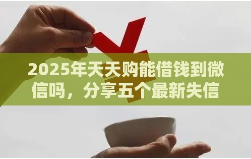 2025年天天购能借钱到微信吗，分享五个最新失信人限高网贷口子