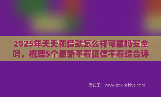 2025年天天花借款怎么样可靠吗安全吗，梳理5个最新不看征信不看综合评估的借款平台
