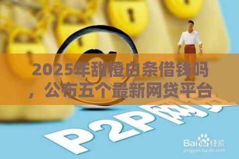 2025年甜橙白条借钱吗，公布五个最新网贷平台正规利息低