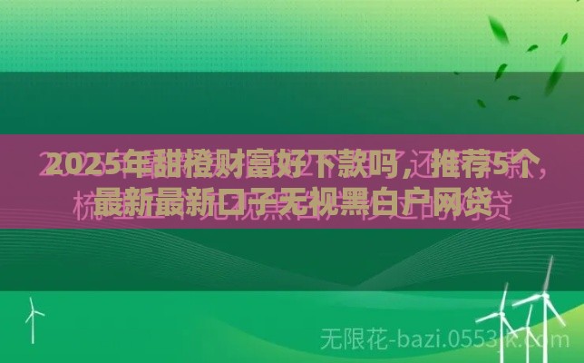 2025年甜橙财富好下款吗，推荐5个最新最新口子无视黑白户网贷