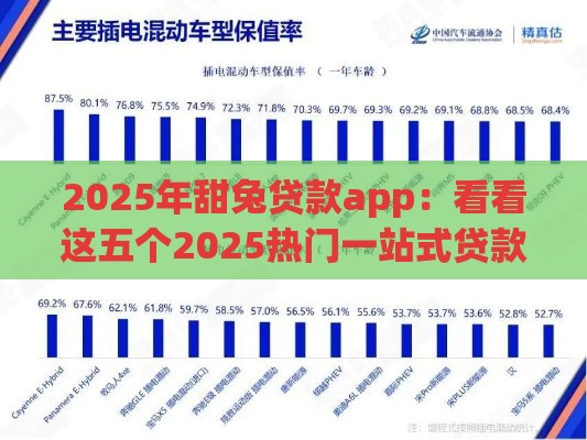 2025年甜兔贷款app：看看这五个2025热门一站式贷款服务平台