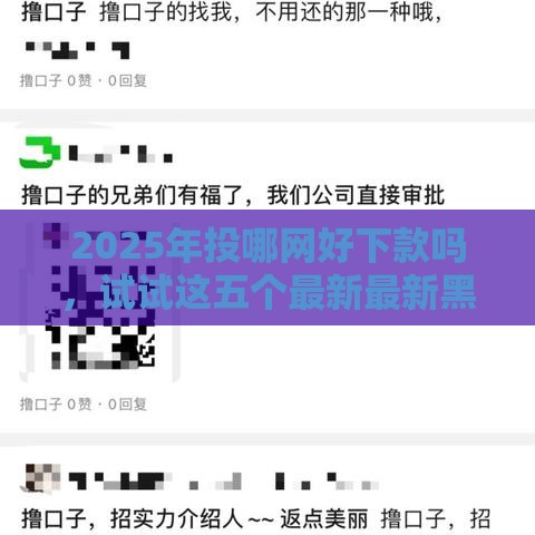 2025年投哪网好下款吗，试试这五个最新最新黑户口子人人2500-3000