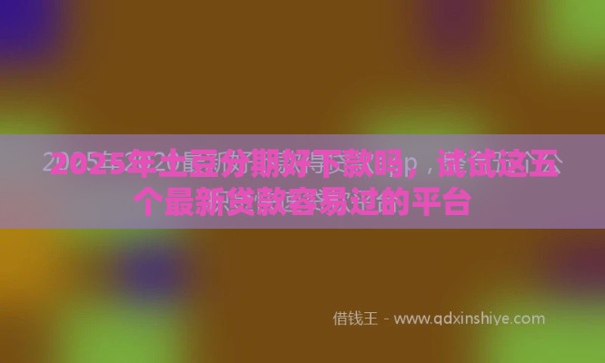 2025年土豆分期好下款吗，试试这五个最新贷款容易过的平台