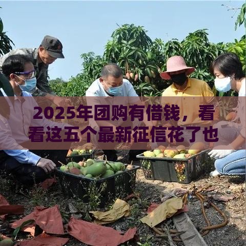 2025年团购有借钱，看看这五个最新征信花了也能借钱的正规平台
