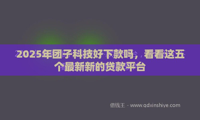 2025年团子科技好下款吗，看看这五个最新新的贷款平台