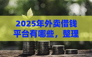 2025年外卖借钱平台有哪些，整理5个最新晚上能秒下款的高炮口子