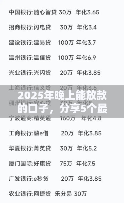 2025年晚上能放款的口子，分享5个最新十大贷款平台