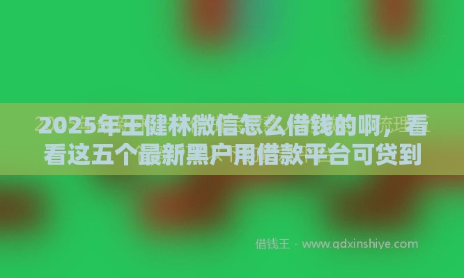 2025年王健林微信怎么借钱的啊，看看这五个最新黑户用借款平台可贷到款