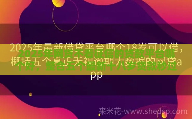 2025年网贷不看征信的贷款平台哪个好，整合五个最新十八岁贷款秒过平台