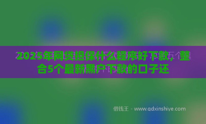 2025年网贷担保什么程序好下款，整合5个最新黑户下款的口子还