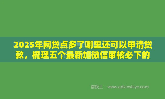 2025年网贷点多了哪里还可以申请贷款，梳理五个最新加微信审核必下的网贷平台