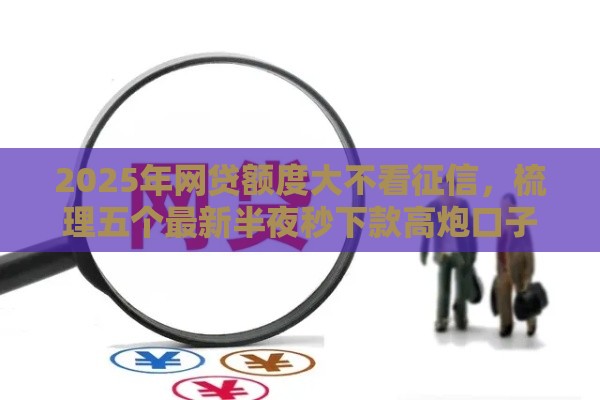 2025年网贷额度大不看征信，梳理五个最新半夜秒下款高炮口子