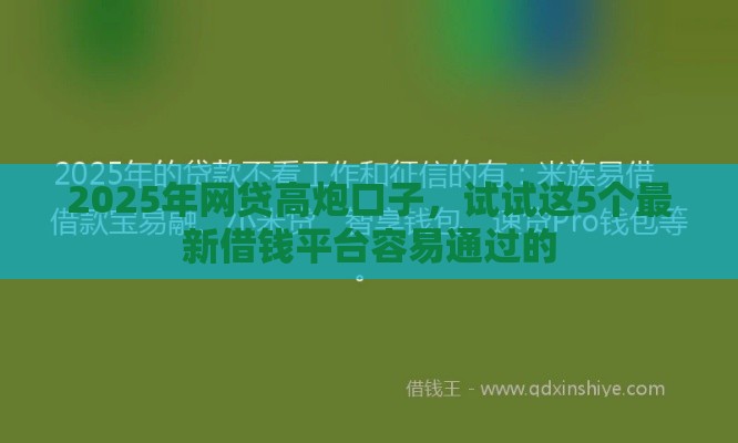 2025年网贷高炮口子，试试这5个最新借钱平台容易通过的