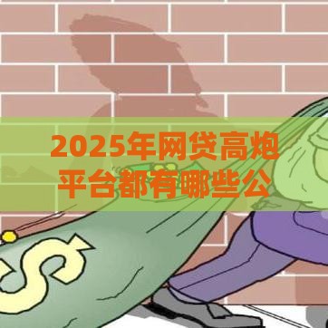 2025年网贷高炮平台都有哪些公司，整理5个最新18岁可以贷款的平台
