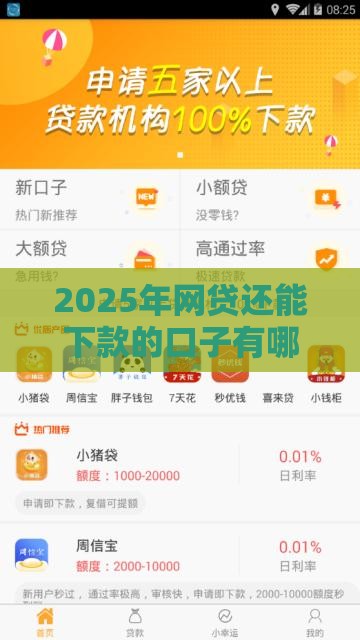 2025年网贷还能下款的口子有哪些，试试这五个最新正规安全的贷款平台