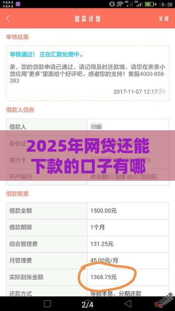 2025年网贷还能下款的口子有哪些，试试这五个最新正规安全的贷款平台