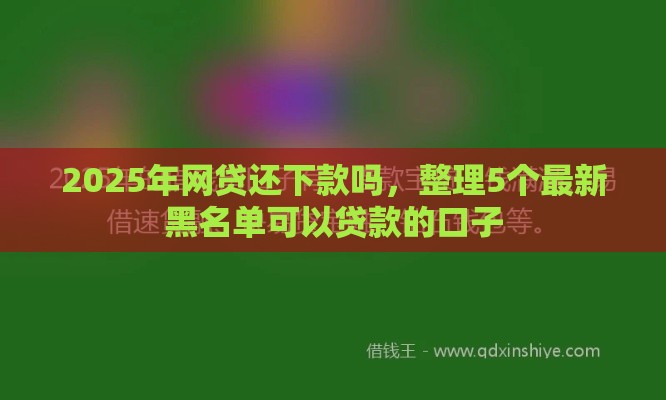 2025年网贷还下款吗，整理5个最新黑名单可以贷款的口子