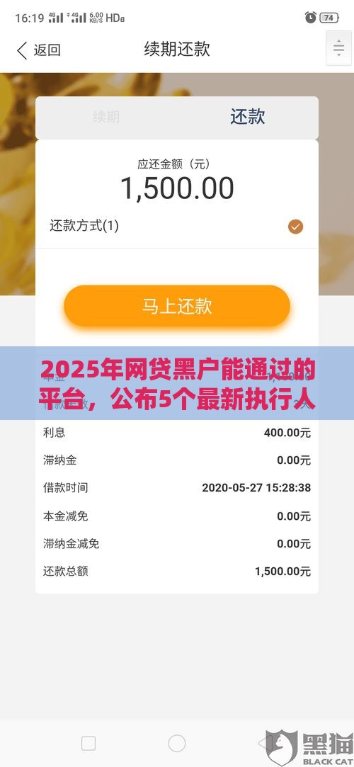 2025年网贷黑户能通过的平台，公布5个最新执行人贷款稳下的口子