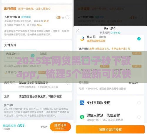 2025年网贷黑口子秒下款app，梳理5个最新可以快速借钱的平台