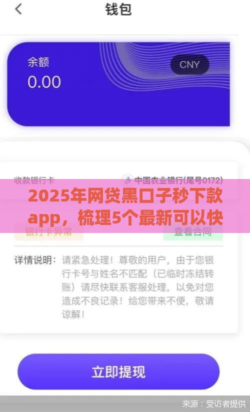 2025年网贷黑口子秒下款app，梳理5个最新可以快速借钱的平台