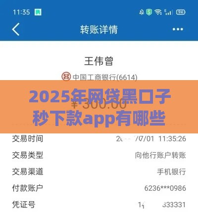 2025年网贷黑口子秒下款app有哪些，整合5个最新好借钱平台