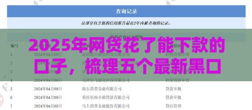 2025年网贷花了能下款的口子，梳理五个最新黑口子