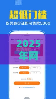 2025年网贷花了能下款的口子，梳理五个最新黑口子